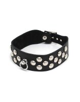 Rimba Collar Decorated with Studs Black S-M