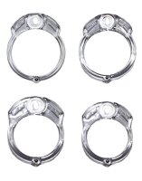 The Vice Chastity Cock Cage Standard Transparent