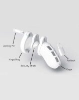 World Cage Bangkok Penis Chastity Set