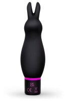 Dream Toys Sex Room Raunchy Kit black