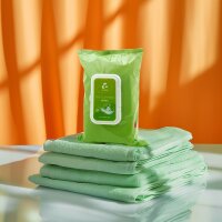 Easyglide Toy Reinigungstücher 100 Stück