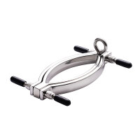 Kiotos Steel Clit Clamp with leash chain