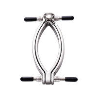 Kiotos Steel Clit Clamp with leash chain