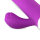Teazers Realistic Rabbit Vibrator - Purple