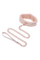 Peaches n creame - fur collar & leash