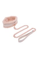 Peaches n creame - fur collar & leash
