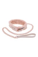 Peaches n creame - fur collar & leash