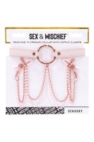 Peaches n Creame - collar with nipple clamps