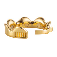 Sevanda Ring of Kings Eichelring Größe L  gold