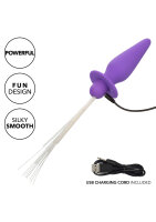 CalExotics Southern Lights Vibrating Light Up Anal Probe Purple