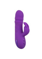 CalExotics California Dreaming Manhattan Beach Marvel Purple