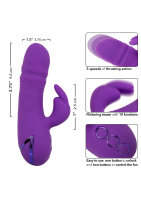 CalExotics California Dreaming Manhattan Beach Marvel Purple