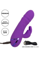 CalExotics California Dreaming Manhattan Beach Marvel Purple