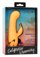 CalExotics California Dreaming Montecito Muse Orange