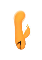 CalExotics California Dreaming Montecito Muse Orange