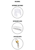 Hidden Desire Extreme Chastity Cock CageAcrylic Transparent