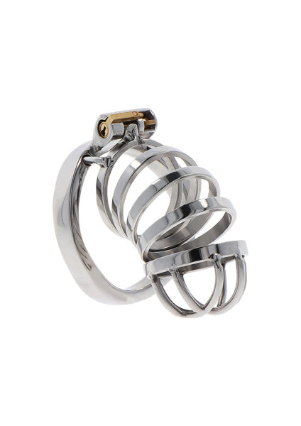 Hidden Desire Extreme Chastity Cock Cage Metal Metal