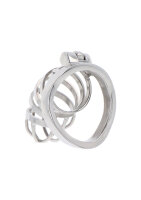 Hidden Desire Extreme Chastity Cock Cage Metal Metal