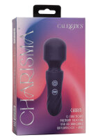 CalExotics Charisma Charm purple