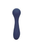 CalExotics Charisma Temptation Purple