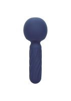 CalExotics Charisma Seduction purple