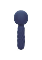 CalExotics Charisma Seduction purple