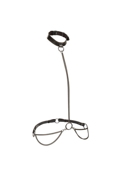 CalExotics Euphoria Collection Kettenhalsband & Leine schwarz