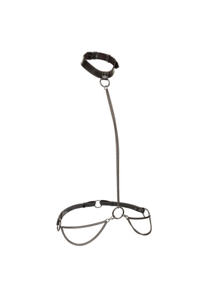 CalExotics Euphoria Collection Plus Size Chain Halter/Collar & Leash Black