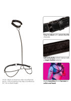 CalExotics Euphoria Collection Plus Size Chain Halter/Collar & Leash Black