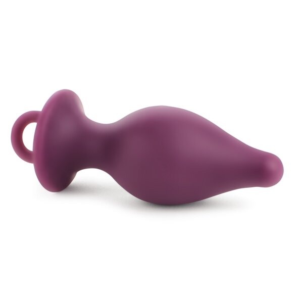 Rends LEmbellir Anal Plug Series L Lila
