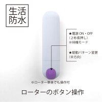 SSI-Japan Docodemo Wireless Vibro-Ei Weiß/Lila