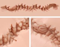 Naked Factory Cup Sleeve Series A-0.1 12 cm