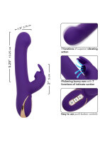 CalExotics Jack Rabbit Signature Suction Rabbit Purple
