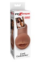 PDX EXTREME COED COCKSUCKER  BROWN