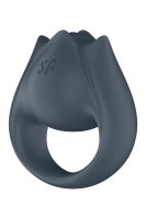 Satisfyer Perfect Pair 2