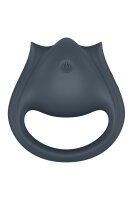 Satisfyer Perfect Pair 2