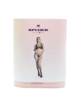 SPIDER Edition Box (Hansen-May-Love) Limited Edition