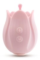 Blush Play With Me Romantic Rose - Pink