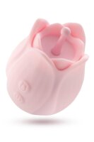 Blush Play With Me Romantic Rose - Pink