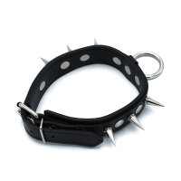 Kiotos Leather Collar with Spikes and O-Ring Black