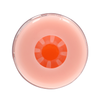 RealRock Easy Rider - Textured Masturbator - Flesh