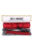Sportsheets Ex´s And Oh´s Collar And Leash