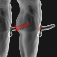 Oxballs SCREWDHOLE Masturbator Night Edition