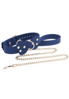 Taboom Silicone Collar and Leash Blue