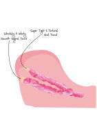 Hidden Desire Bangers Upskirt College Slut Light skin tone