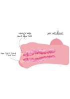 Hidden Desire Bangers Big Titty Fuck Cunt Light skin tone