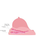 Hidden Desire Bangers Fuck My Virgin Pussy Light skin tone