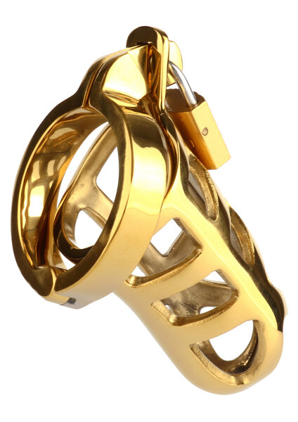Mr. Steel Brutal Chastity Cage Gold Gold