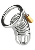 Mr. Steel Ring Master Chastity Device Silver