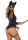 Leg Avenue Villainess Vixen Bodysuit M